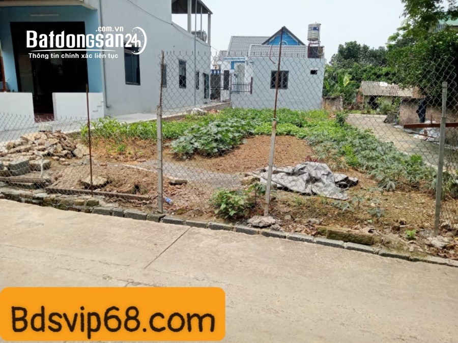 Bán đất Đường 421B, Xã Đông Yên, Huyện Quốc Oai