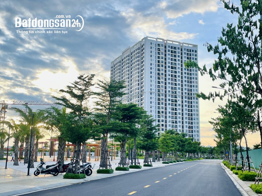 Bảng Giá đất nền FPT City Đà Nẵng cập nhật mới nhất tháng 9/2024