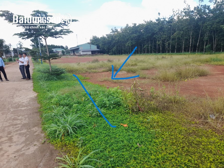 Chính chủ bán gấp lô đất 500 m2 có  sẵn 200 m2 thổ cư 