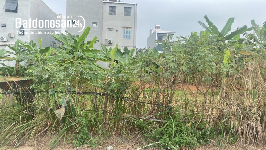 Bán đất Đường Nguyễn Tất Thành, Phường Tích Sơn, Tp Vĩnh Yên