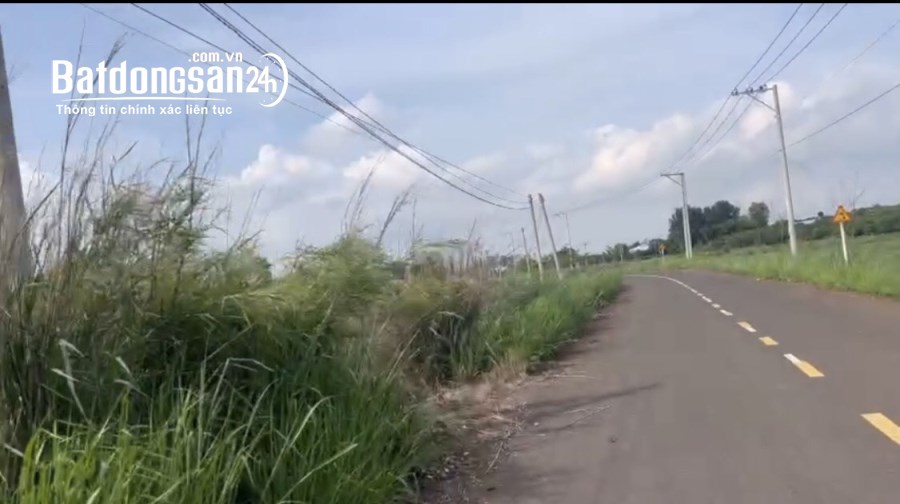 Bán đất Đường Tỉnh Lộ 25, Xã Hưng Lộc, Huyện Thống Nhất