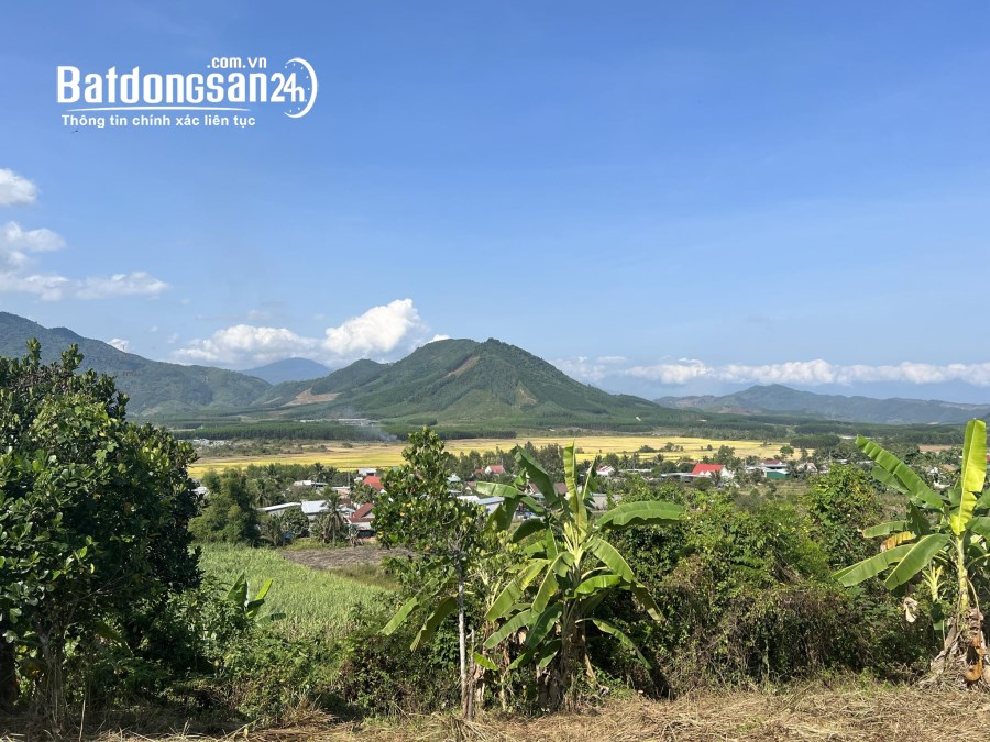 Bán đất qh ful thổ cư 2.500m2 gần chợ trường Xã Diên Tân, Huyện Diên Khánh