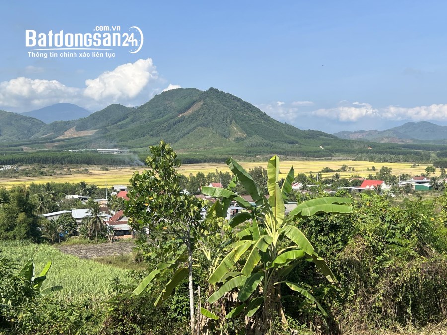 Bán đất qh ful thổ cư 2.500m2 gần chợ trường Xã Diên Tân, Huyện Diên Khánh