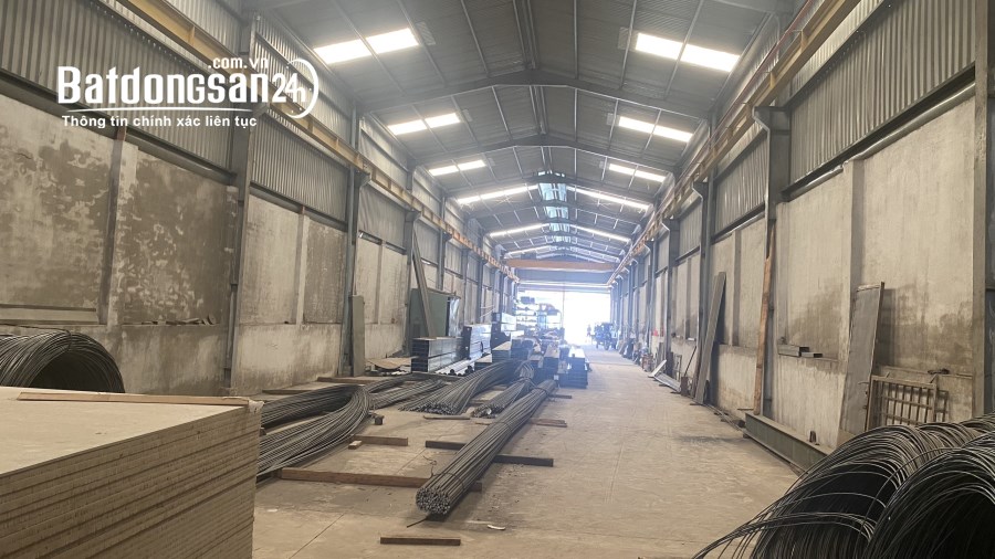 Cho thuê đất riêng, kho xưởng Đường Bùi Trọng Nghĩa, Phường Trảng Dài, TP Biên Hòa