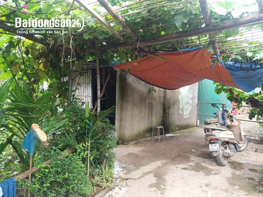 BÁN NHANH MẢNH ĐẤT 50 NĂM SỔ HỒNG CHÍNH CHỦ 630M Ở THANH TRÌ HÀ NỘI GIÁ CHỈ 1.45T