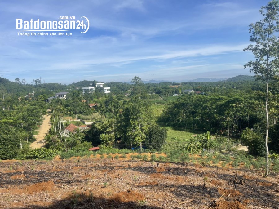 Bán đất 1.050m2 có 250m2 thổ cư Thôn Dy, Minh Quang, Làng nghỉ dưỡng