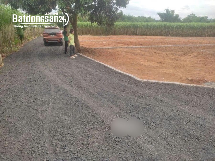 Bán đất phân lô thôn Bình Sậy X.Thạch Sơn H.Thạch Thành tỉnh Thanh Hóa. 280m2 ~ 285tr
