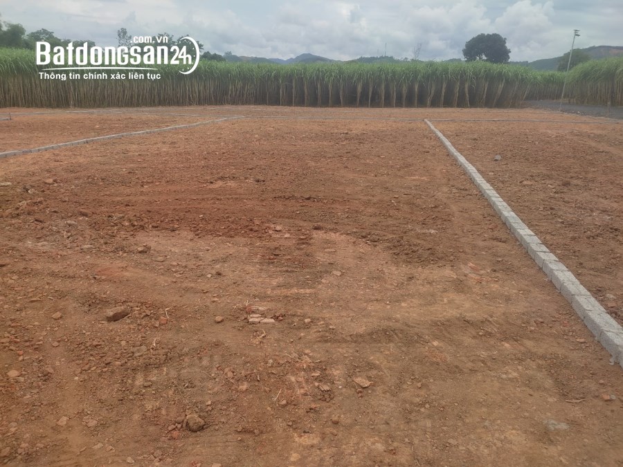 Bán đất phân lô thôn Bình Sậy X.Thạch Sơn H.Thạch Thành tỉnh Thanh Hóa. 280m2 ~ 285tr