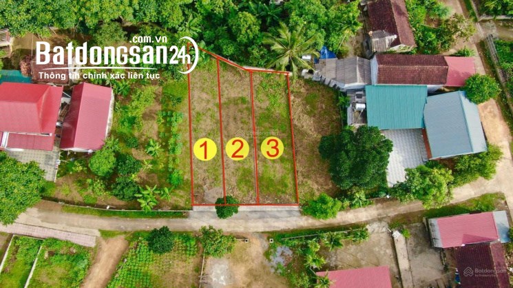 Bán đất Đường Tỉnh Lộ 523, Xã Thành Trực, Huyện Thạch Thành