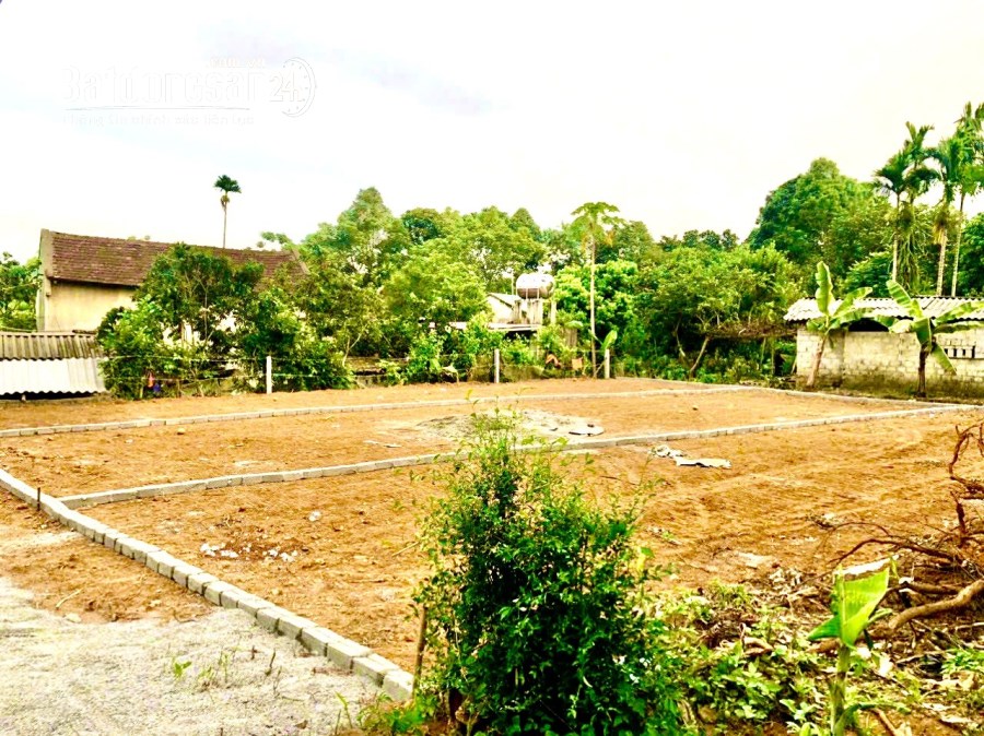 Bán đất Đường Tỉnh Lộ 523, Xã Thành Trực, Huyện Thạch Thành