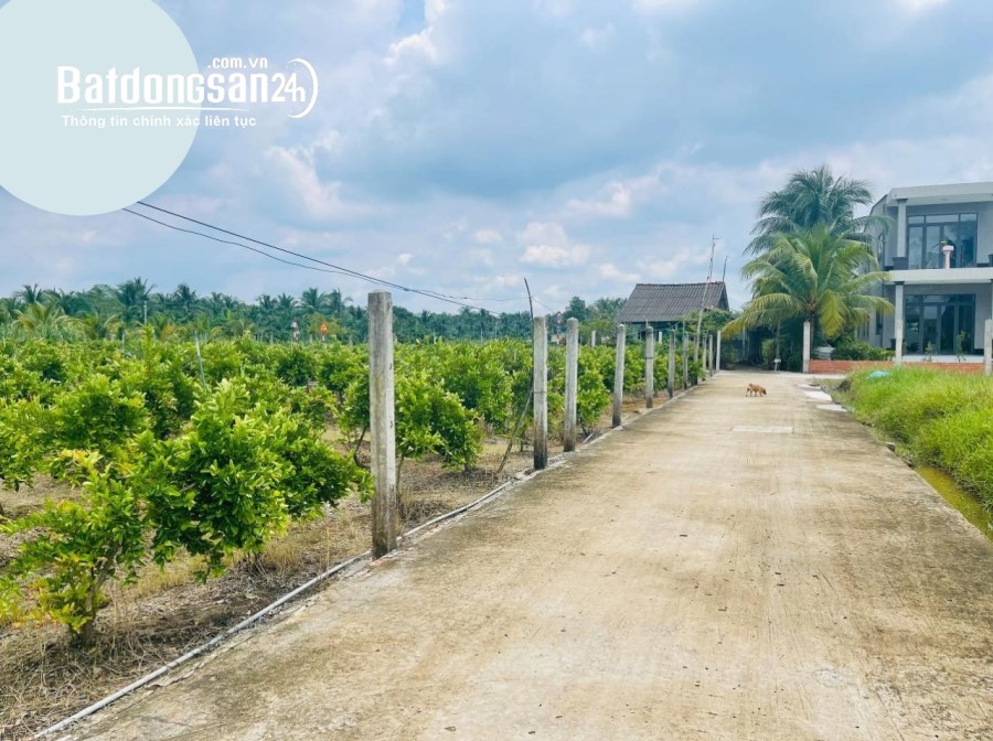 ĐẤT ĐẦU TƯ Fo , PHƯỚC THẠNH , TP MỸ THO 