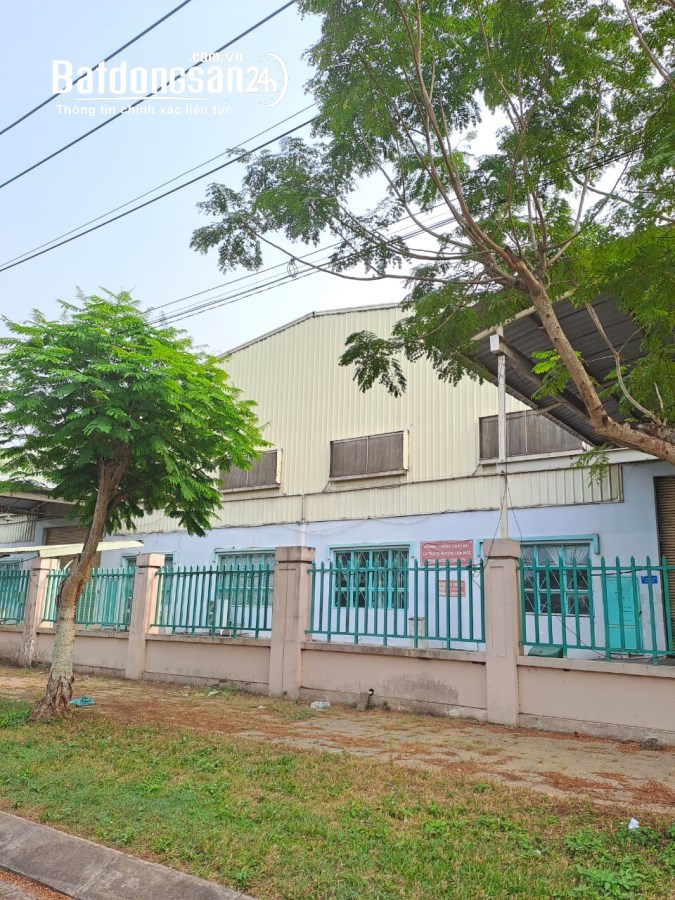 Bán kho xưởng, trang trại Đường Nguyễn Văn Bứa, Xã Xuân Thới Sơn, Huyện Hóc Môn