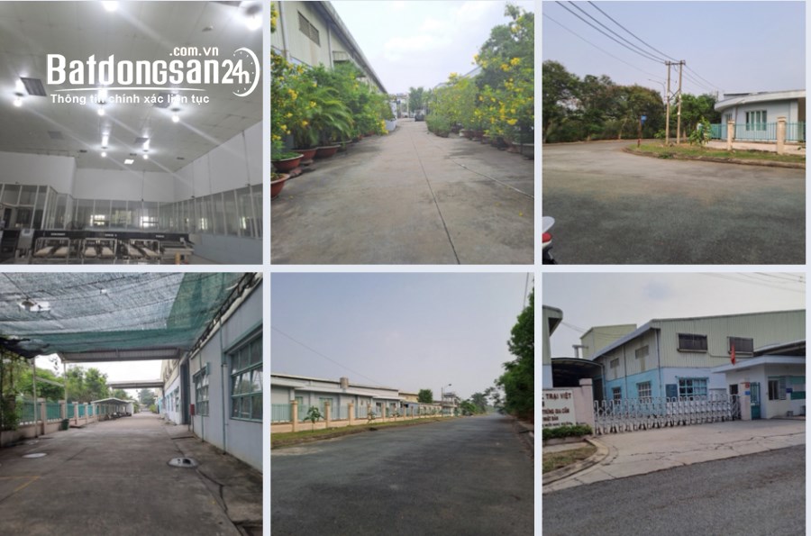 Bán kho xưởng, trang trại Đường Nguyễn Văn Bứa, Xã Xuân Thới Sơn, Huyện Hóc Môn