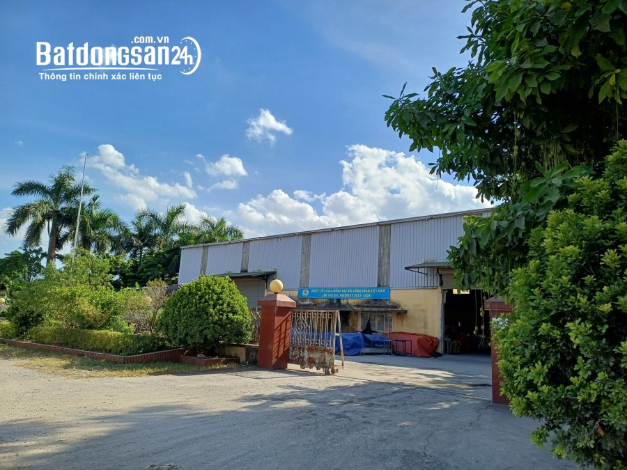 Cho thuê kho xưởng 3500m2, đất 5000m2 Đường Quốc lộ 1A, Xã Hoàng Đông, Huyện Duy Tiên