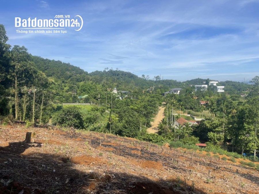 Bán đất 350m2, mặt tiền 10m trục chính Thôn Dy, Minh Quang