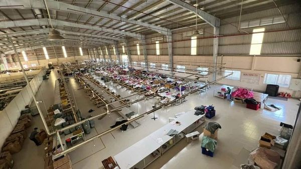 Cho thuê đất riêng, kho xưởng Đường Tỉnh lộ 835, Thị trấn Cần Giuộc, Huyện Cần Giuộc