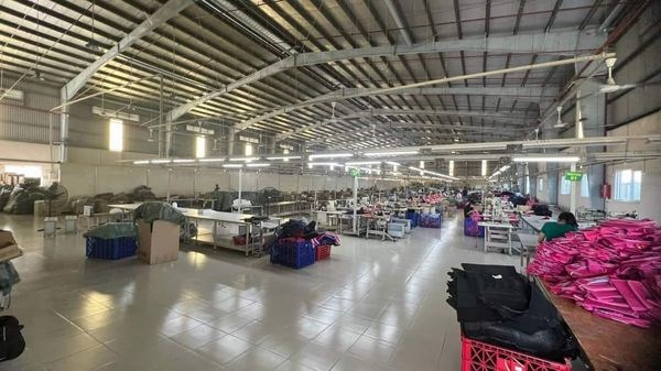 Cho thuê đất riêng, kho xưởng Đường Tỉnh lộ 835, Thị trấn Cần Giuộc, Huyện Cần Giuộc