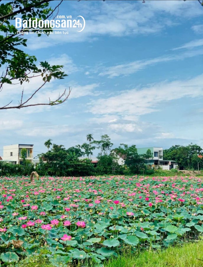 Bán Gấp 1300m² đất ven Đà Nẵng, Đường ĐT 605, Xã Điện Tiến, Huyện Điện  Bàn