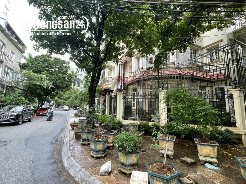 Bán nhà mặt phố Phố Dịch Vọng Hậu, Phường Dịch Vọng Hậu, Quận Cầu Giấy