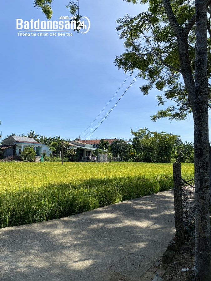Tổng diện tích 2 lô liền kề 400m2 ng ĐT 605, Xã Điện Hồng, Huyện Điện  Bàn