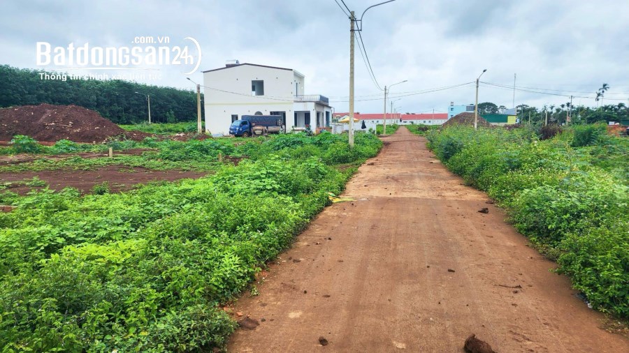 Săn ngay miếng đất vàng tại Phú Lộc, Krông Năng - Giá hấp dẫn, cơ hội đầu tư hiếm có