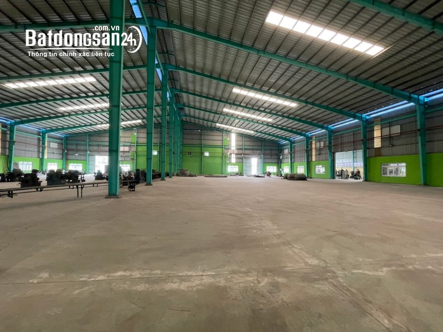 Cho thuê đất riêng, kho xưởng Đường 601, Xã Hòa Sơn, Huyện Hòa Vang