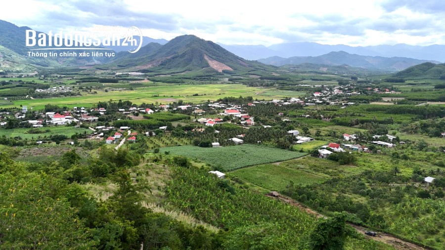 Bán đất gia đình 1,3 hecta đùng oto trung tâm Xã Diên Tân, Diên Khánh giá chỉ 115k/m2