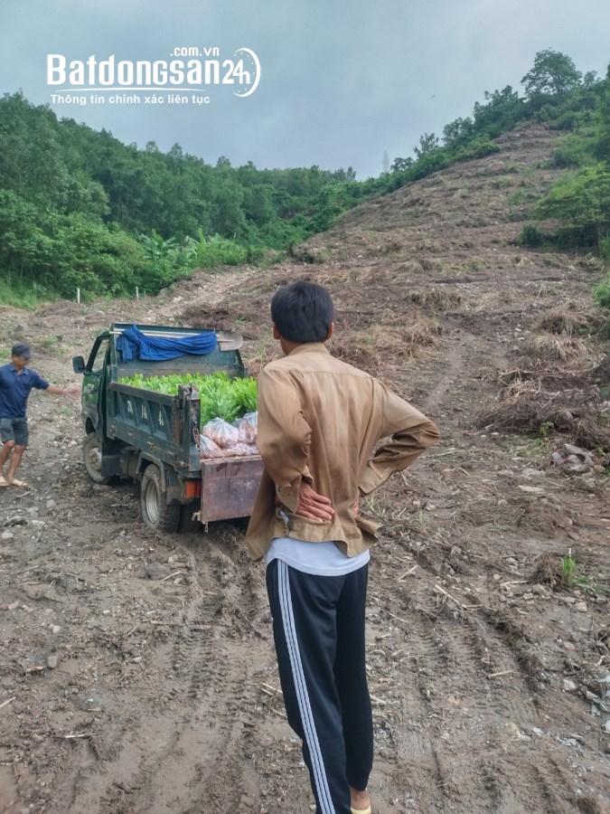 Bán đất gia đình 1,3 hecta đùng oto trung tâm Xã Diên Tân, Diên Khánh giá chỉ 115k/m2