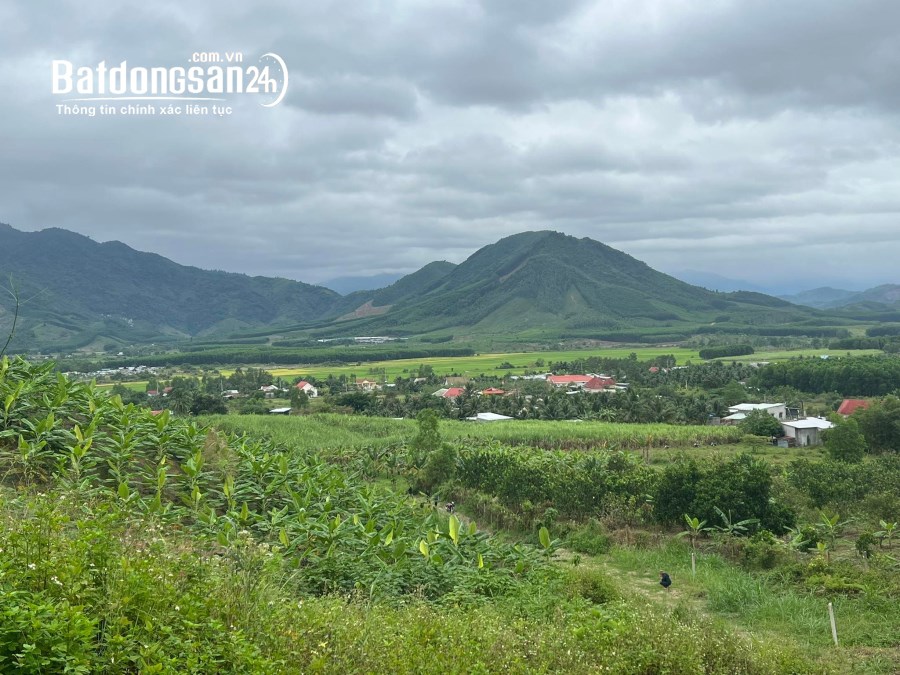 Bán đất gia đình 1,3 hecta đùng oto trung tâm Xã Diên Tân, Diên Khánh giá chỉ 115k/m2