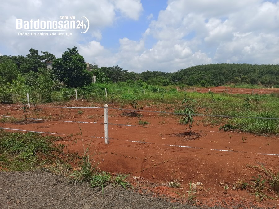 Đất vườn giá chỉ 350trđ/sào tại đồng phú bình phước
