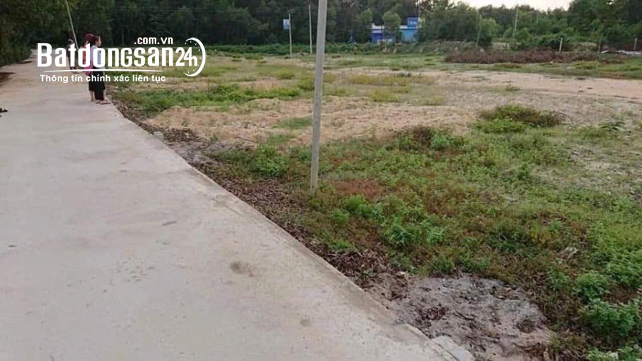 Đất vườn sẵn cây 350tr/1000m Đường 14, Xã Tân Phước, Huyện Đồng Phú