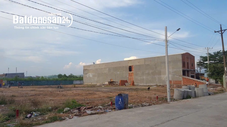 Đất vườn sẵn cây 350tr/1000m Đường 14, Xã Tân Phước, Huyện Đồng Phú