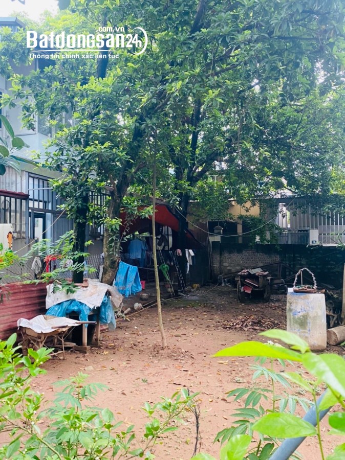 Bán đất Đường Đông Ngạc, Phường Đông Ngạc, Quận Bắc Từ Liêm