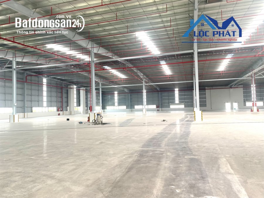 Cho thuê đất riêng, kho xưởng Đường Tôn Đức Thắng, Xã Phú Hội, Huyện Nhơn Trạch