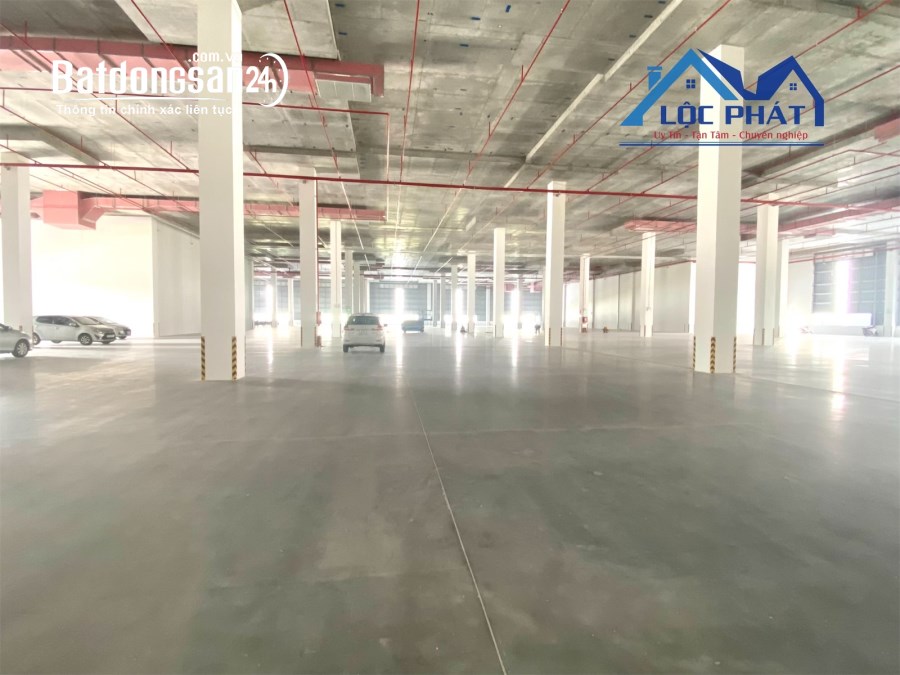 Cho thuê đất riêng, kho xưởng Đường Tôn Đức Thắng, Xã Phú Hội, Huyện Nhơn Trạch