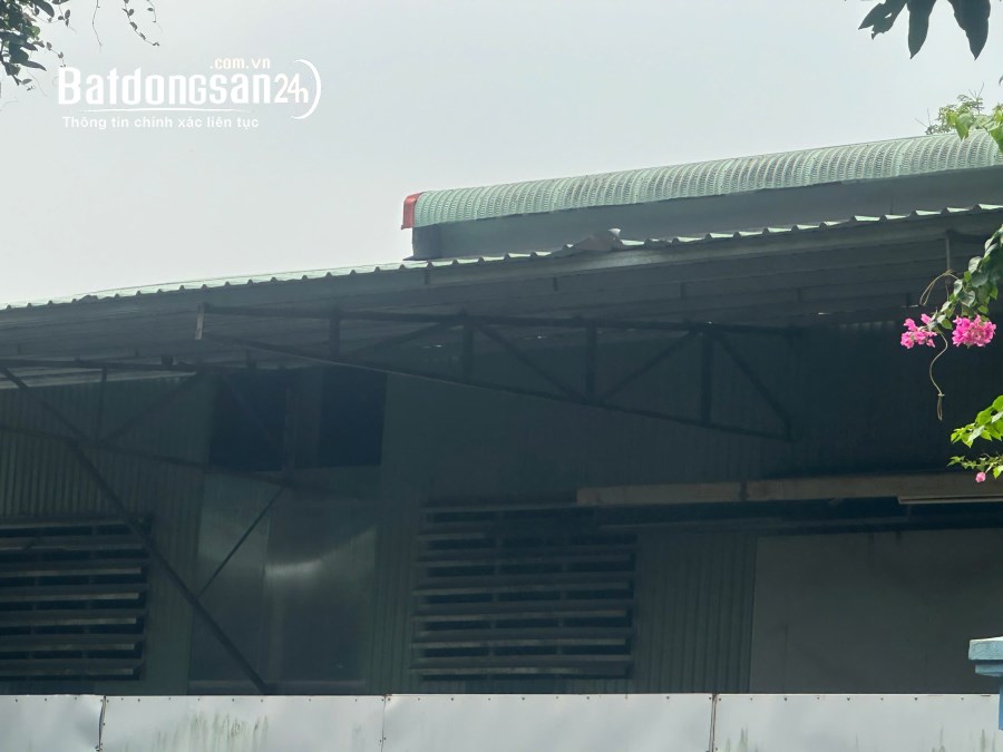 Bán kho xưởng, trang trại Đường Quốc Lộ 2B, Phường Định Trung, Tp Vĩnh Yên