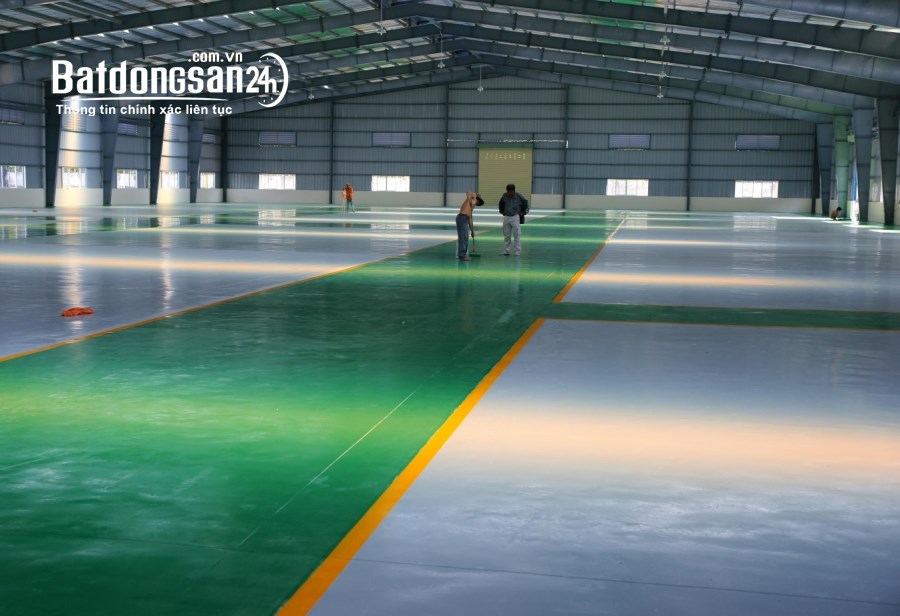 Cho thuê đất riêng, kho xưởng Đường Quốc lộ 1A, Phường Hòa Châu, Huyện Hòa Vang