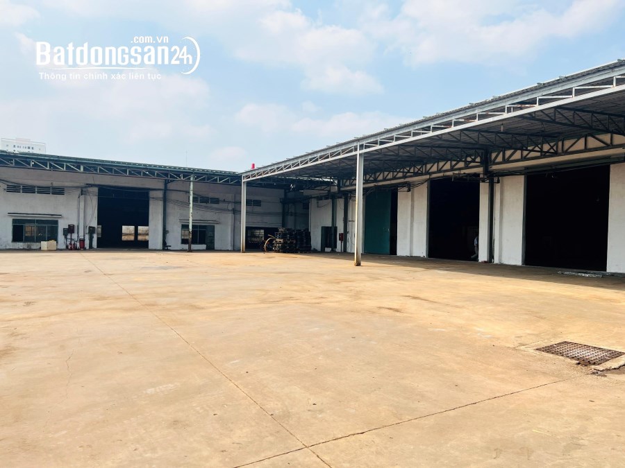 Cho Thuê Nhà Kho Đà Nẵng: Diện Tích Linh Hoạt từ 400m2 - 1200m2, Giá Chỉ Từ 40K/m2 