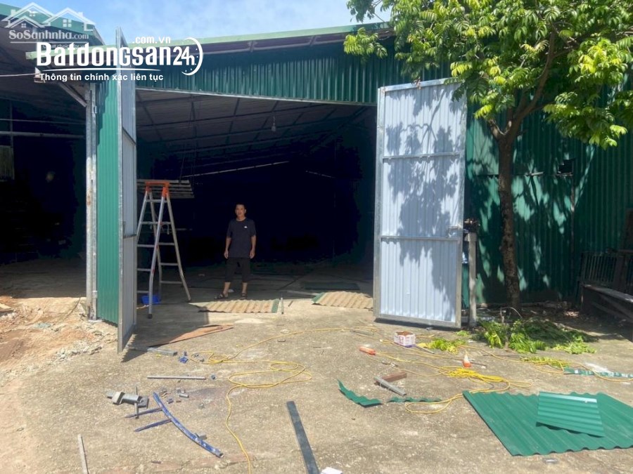Cho Thuê Nhà Kho Đà Nẵng: Diện Tích Linh Hoạt từ 400m2 - 1200m2, Giá Chỉ Từ 40K/m2 