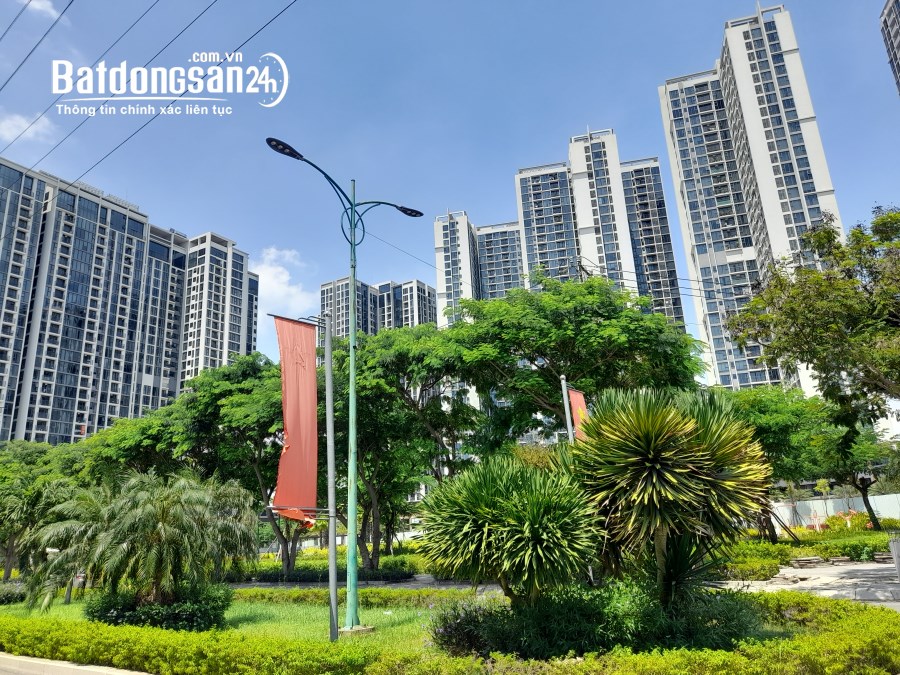 Bán đất mặt tiền đường D6 kế bên chung cư Eco green, Phường Bình Thuận, Quận 7
