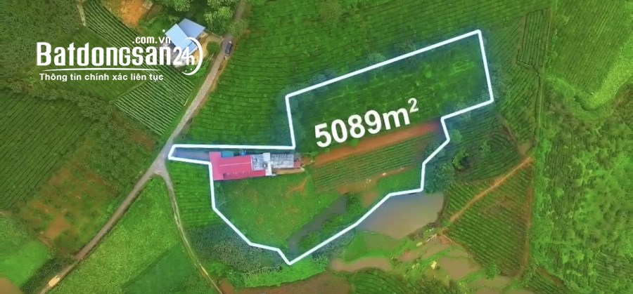 Bán đất Đường 43, Xã Phiêng Luông, Huyện Mộc Châu