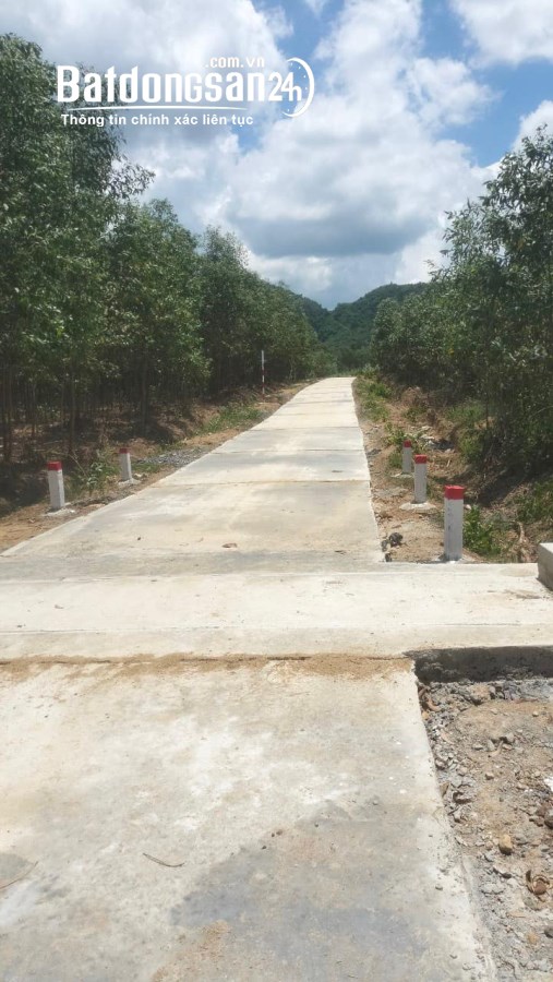 Bán đất 1,9 hecta 2 mặt tiền betong Xã Diên Tân, Huyện Diên Khánh giá rẻ