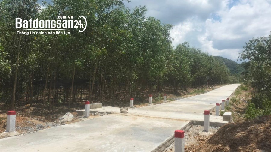 Bán đất 1,9 hecta 2 mặt tiền betong Xã Diên Tân, Huyện Diên Khánh giá rẻ