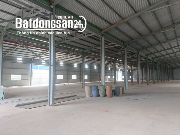 Bán kho xưởng, trang trại Đường 10, Xã Long Hậu, Huyện Cần Giuộc