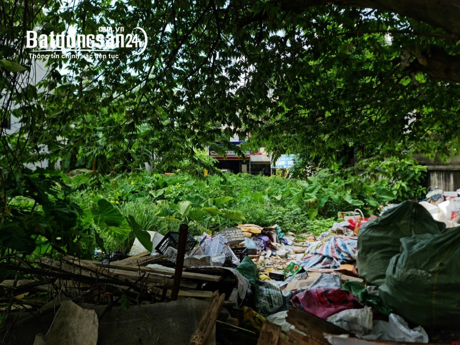 Bán đất Đường Nguyễn Tất Thành, Phường Khai Quang, Tp Vĩnh Yên