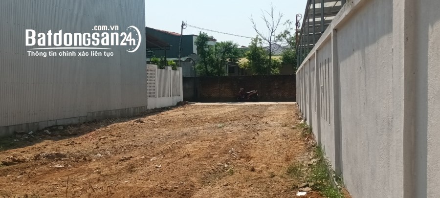 Bán 300m2 Đất Hẻm 5M Đường Trần Thái Tông, Phường Trần Phú, TP - Quảng Ngãi
