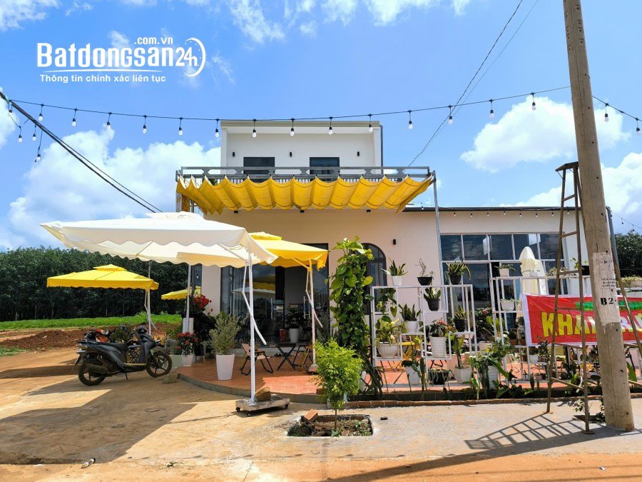 Chính chủ cần bán 2 lô đất ở KDC Phú Lộc - Huyện Krông Năng