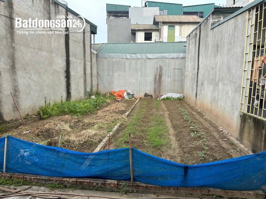 Bán đất Đường Phúc Lợi, Phường Phúc Lợi, Quận Long Biên