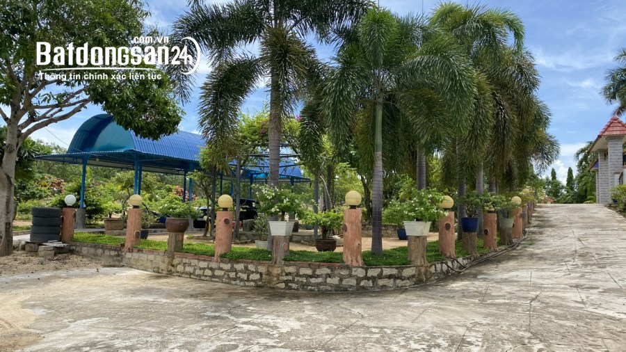 Bán Bất động sản khác Đường Hội Bài - Châu Pha, Thị trấn Phú Mỹ, Thị xã Phú Mỹ