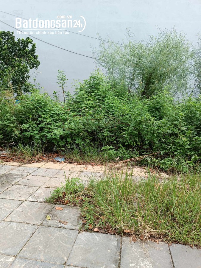 Phân Lô-Vỉa Hè-Đường 4Làn Xe-DT80M²-MT4,1M-TĐC Bắc Sông Thiếp-Vườn Đào-Uy Nỗ-Đông Anh
